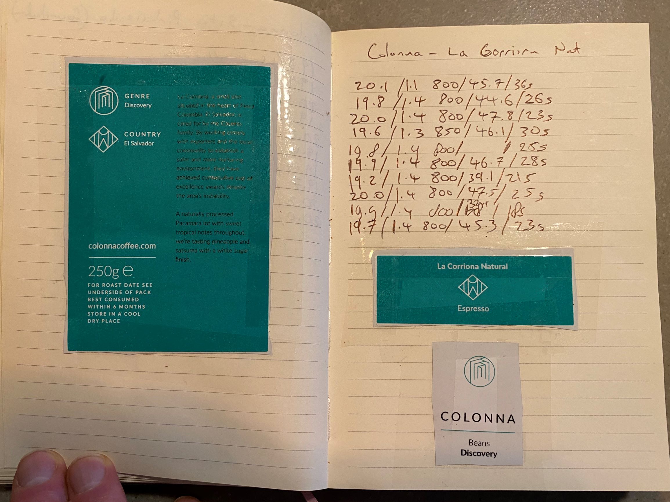 Colonna - El Salvador - Pacamara