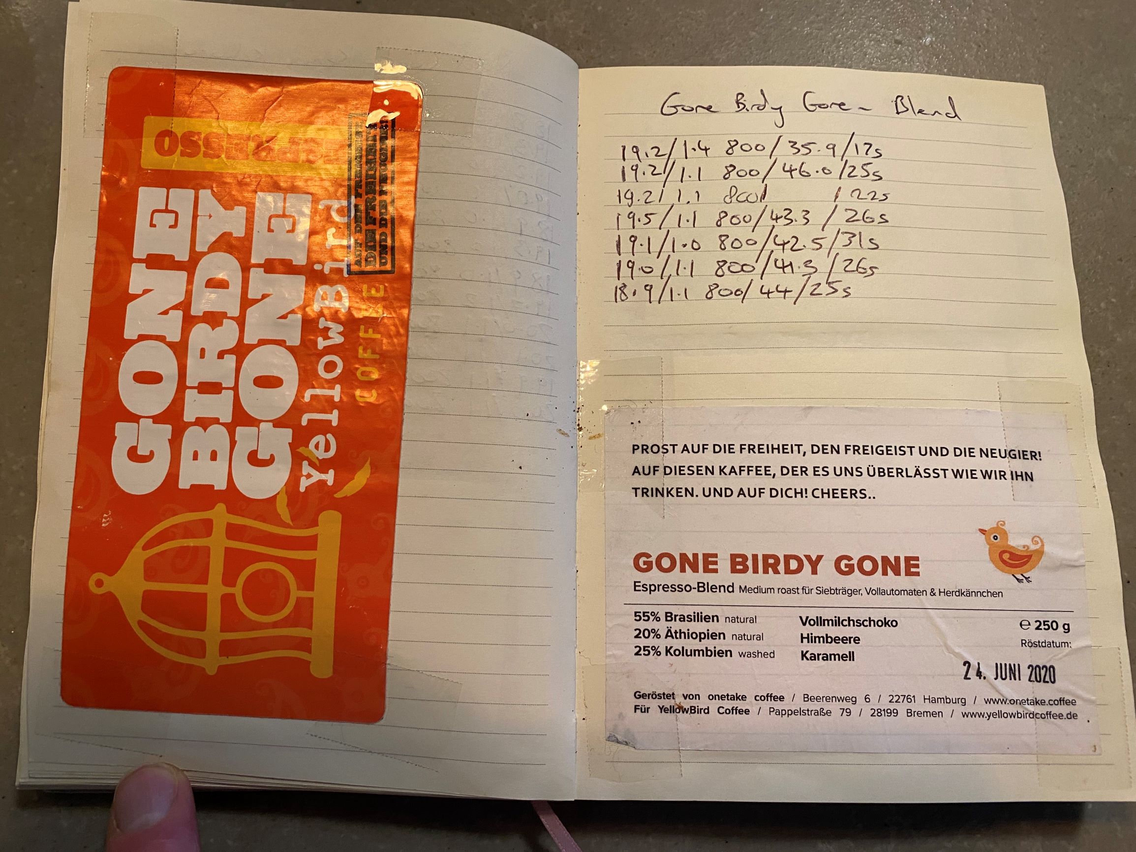 Gone Birdy Gone